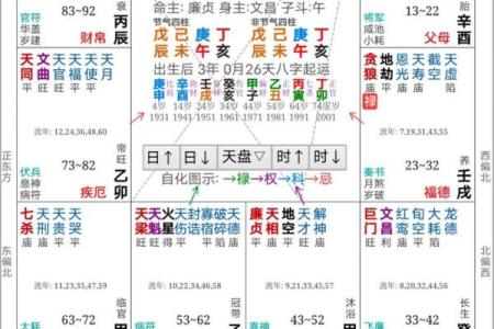 紫薇斗数中同度什么意思