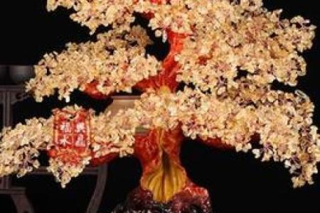风水搬家第一件进门的东西是什么