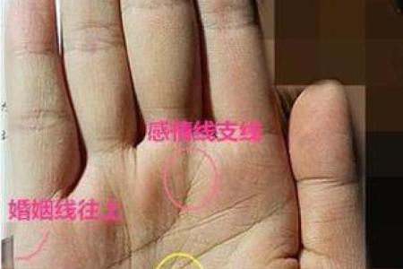 看手相算命：第二课 婚姻感情