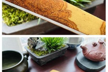 湘妃竹风水