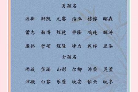 八字宝宝取名查分数