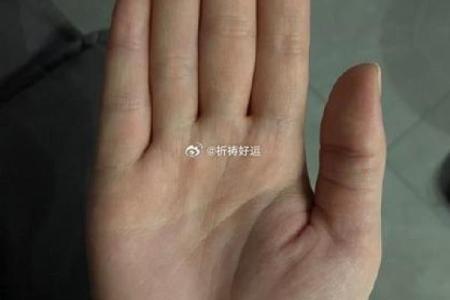 什么是八字掌,八字掌的标准手型是什么