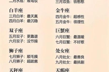 什么星座适合做伙伴