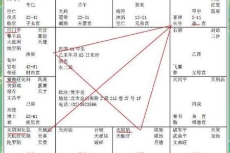 【紫微斗数】排盘技巧037：紫微斗数的国际交流