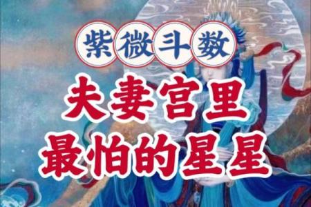 紫微斗数夫妻宫左辅星 女命夫妻宫有左辅星,对方是个怎样的人？