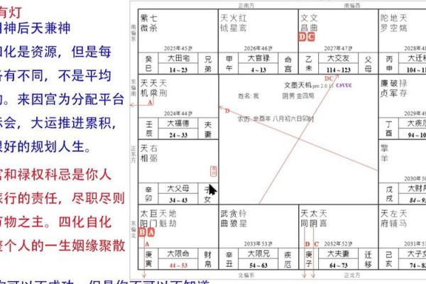 紫薇斗数四化线
