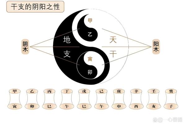 八字有辰戌