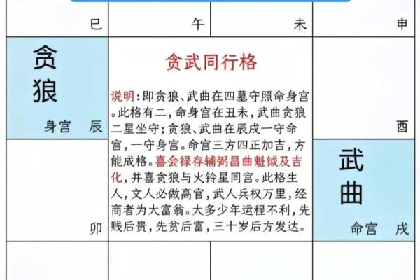 倪海厦会紫微斗数吗 倪海厦的紫微斗数准吗？