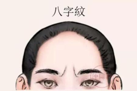 印堂八字纹的男人爱老婆吗
