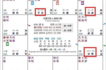 紫微斗数之夫妻宫与诸星,太阳星在夫妻宫是什么意思？