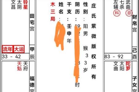 紫薇斗数主星择业