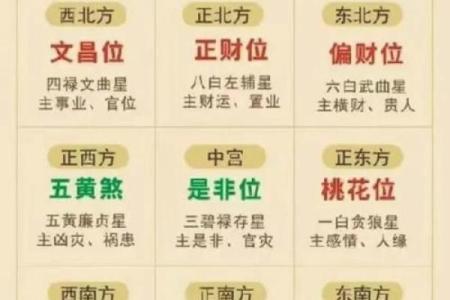 九运风水最旺的房子户型图片
