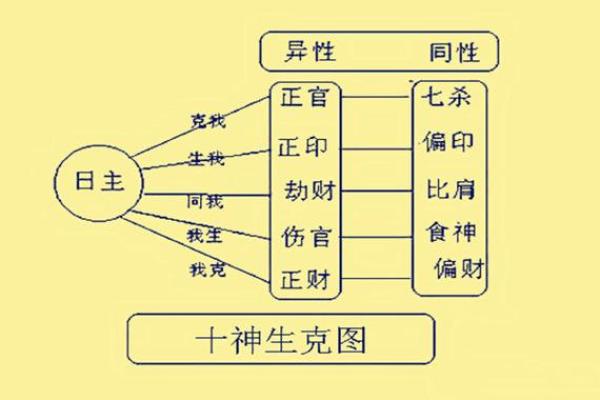 八字五行、十神的生克运行