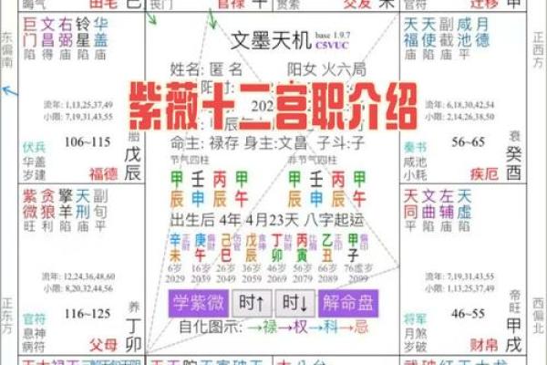 破紫薇斗数排盘