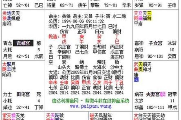 破紫薇斗数排盘