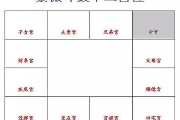 紫薇斗数命盘带帝旺是什么意思