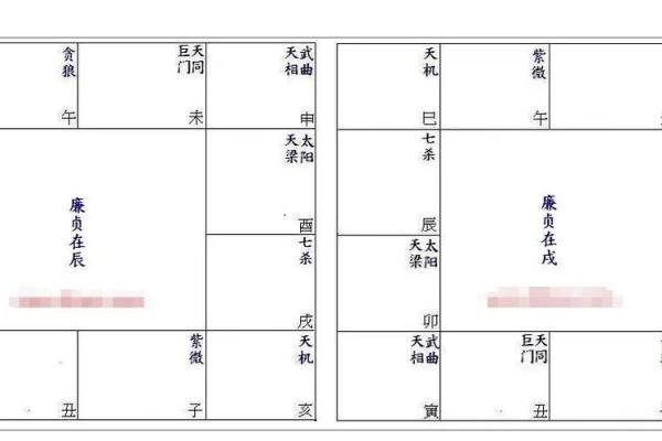 紫薇斗数子斗戌