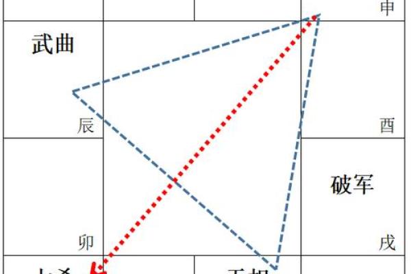 紫微斗数之疾厄宫与诸星，天府星在疾病宫是什么意思？