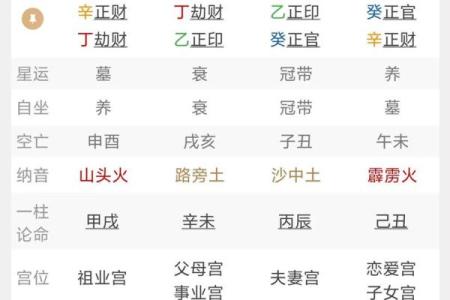 丁酉辛亥丙戍己亥八字命运