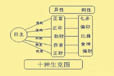 八字五行、十神的生克运行