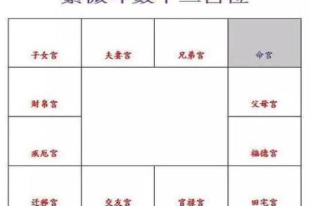 紫薇斗数命盘带帝旺是什么意思
