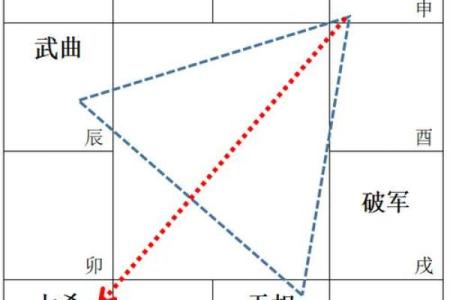 紫微斗数之疾厄宫与诸星，天府星在疾病宫是什么意思？