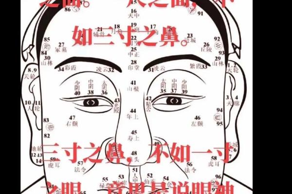 整容的八字