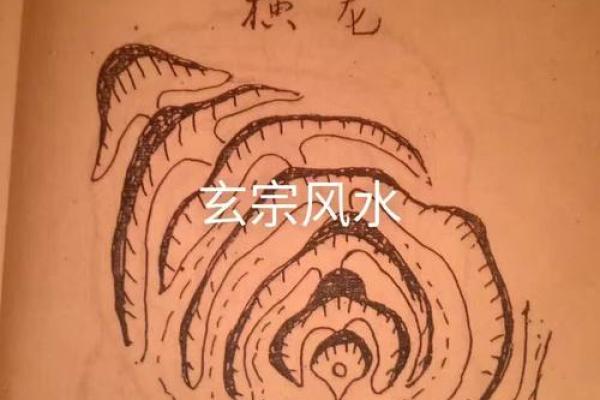 仰天累风水