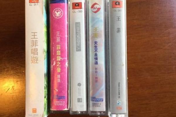 王菲紫薇斗数盘