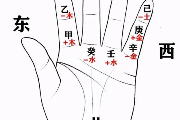 八字入门必背知识