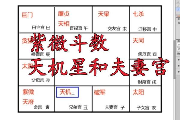 紫薇斗数夫妻天才