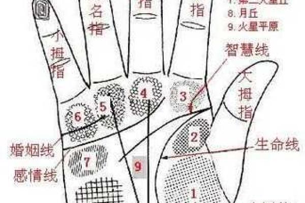 女人手纹算命图解,有福气的女人手相