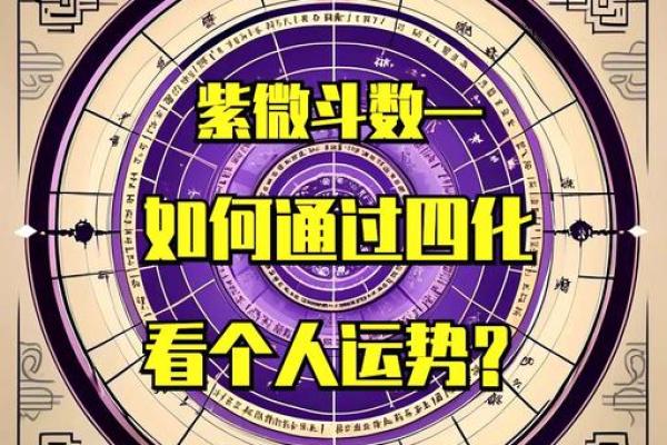 紫微斗数之四化飞星活盘运用
