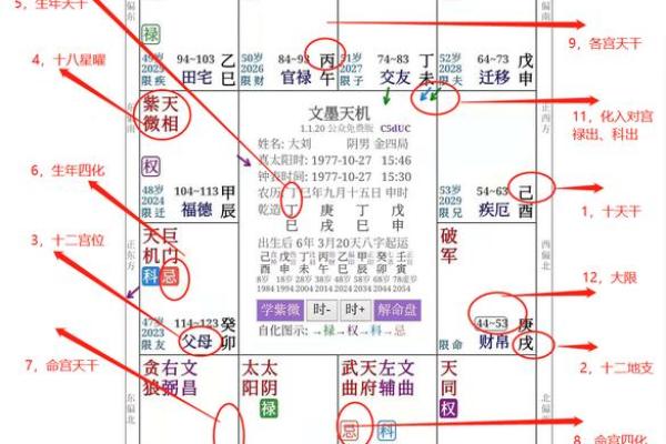 紫薇斗数大限工作