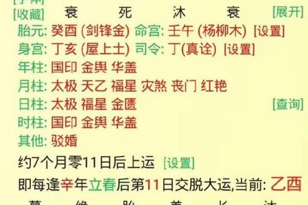 八字大运地支天喜