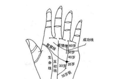 女人手纹算命图解,有福气的女人手相