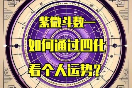 紫微斗数之四化飞星活盘运用