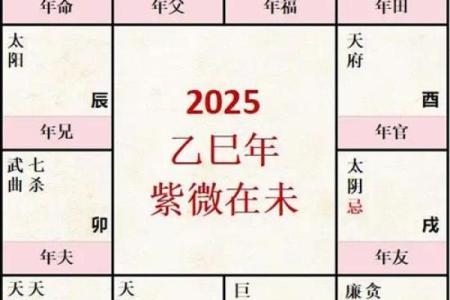 元亨八字紫薇斗数