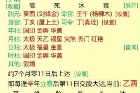 八字大运地支天喜