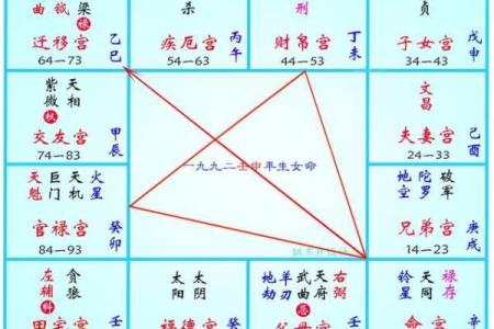 紫微斗数诸星落诸宫之：紫微星官禄宫详解