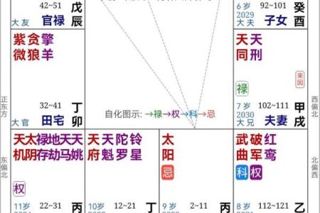 紫薇斗数全书简体