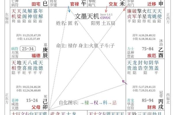 九宫格紫薇斗数盘算命怎么看