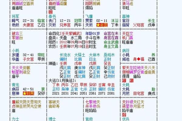 九宫格紫薇斗数盘算命怎么看