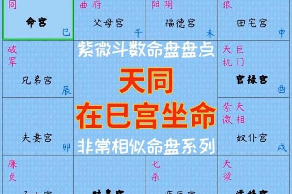 紫薇斗数先天命盘怎么看
