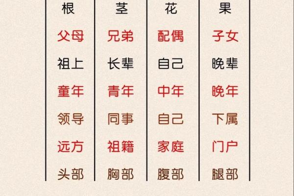 八字四柱代表
