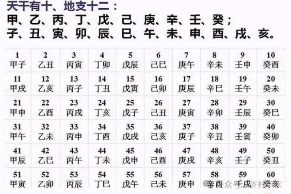 生肖八字算命