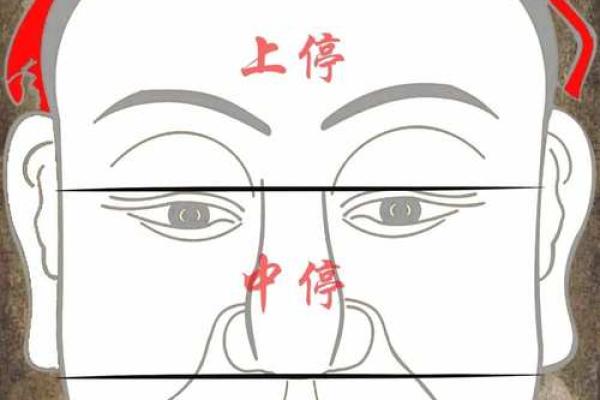 面相算命图解十二宫之：命宫