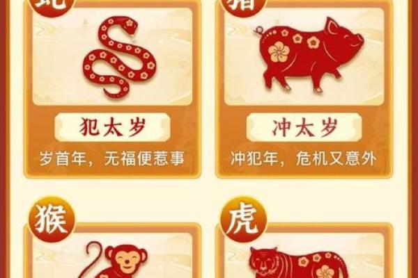 风水开运 木命男人如何旺财
