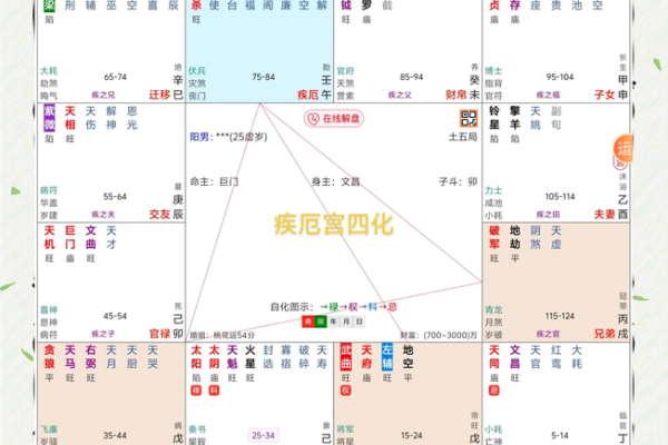 紫薇斗数的引导任务在哪