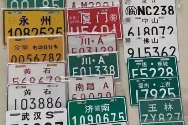 电动汽车牌照号吉凶测试